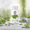 Bottle of Akshiva Organics Moringa Capsules with Moringa leaves on a natural background
